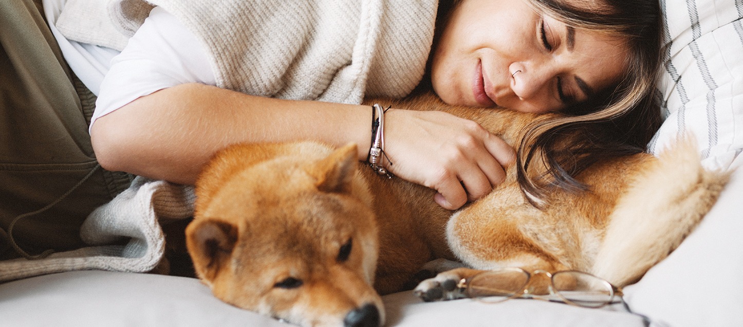 Os cães podem dormir fora de casa no inverno?