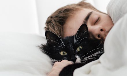 O que significa sonhar com gatos?